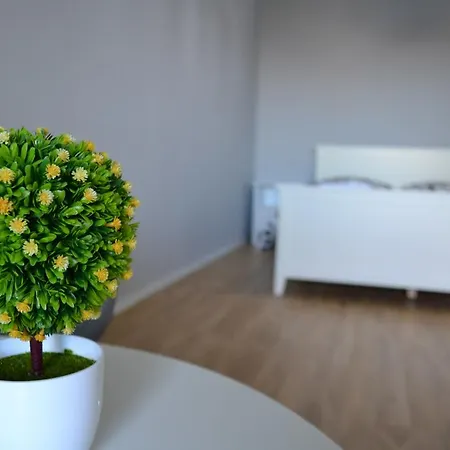 Park Lake Apartment