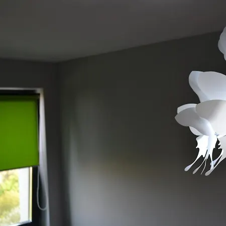 Park Lake Apartment